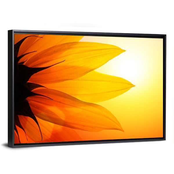 Yellow Sunflower Petals At Sunset Canvas Wall Art