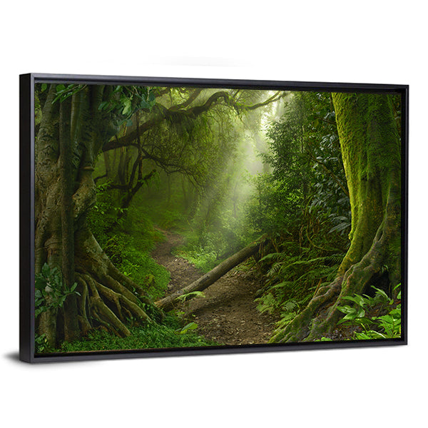 Asian Rain Forest With Sun Rays Canvas Wall Art