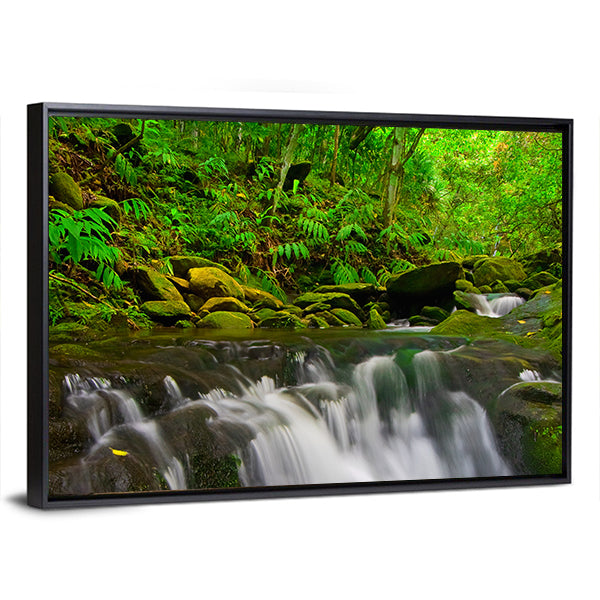 Stream Flowing Through Lush Jungle In Maui Hawaii Canvas Wall Art