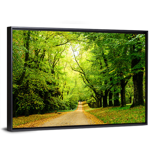 Path In The Forest Woods Canvas Wall Art