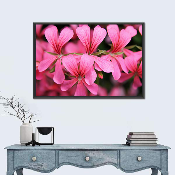 Pink Geranium Cascade Flowers Canvas Wall Art
