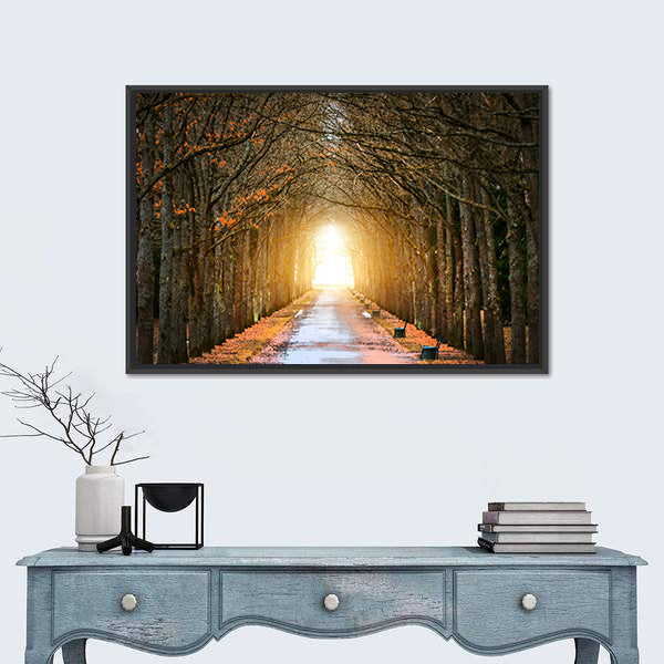 Autumn Tree Tunnel with Benches Canvas Wall Art