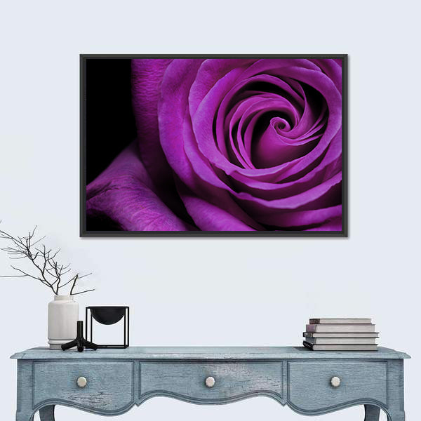 Purple Rose Close-Up Canvas Wall Art