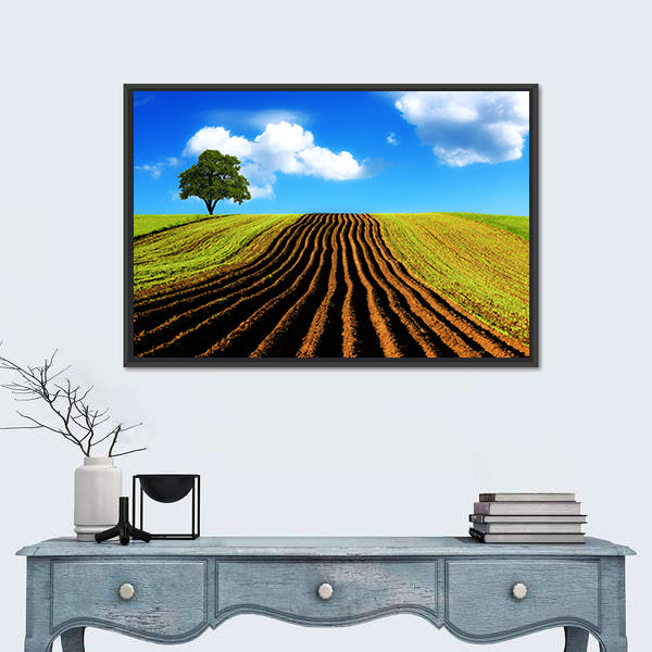 Ploughed Field with Lone Tree Canvas Wall Art