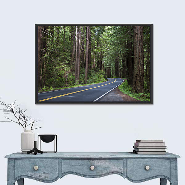 Redwoods Forest In California Canvas Wall Art