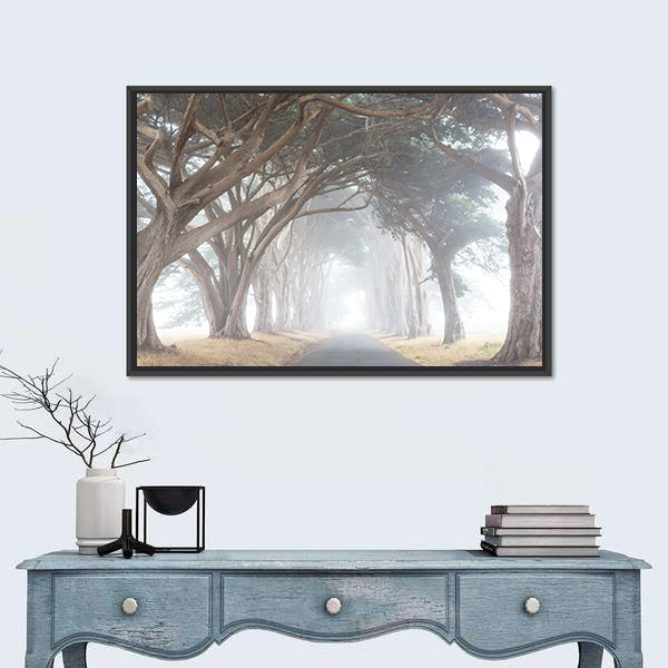Misty Trees Alley In Foggy Weather Canvas Wall Art