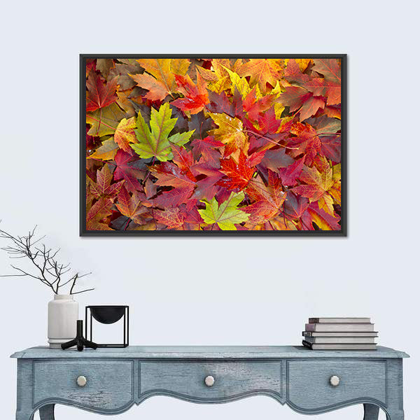 Colorful Maple Leaves Canvas Wall Art