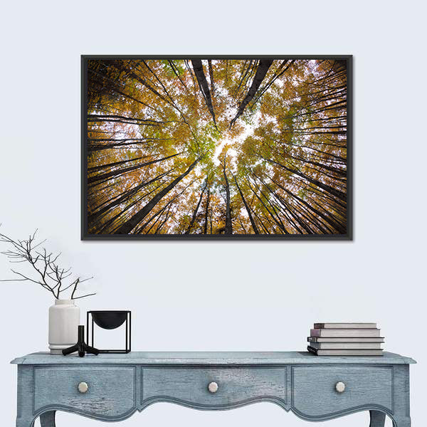 Autumn Forest Treetops Canvas Wall Art