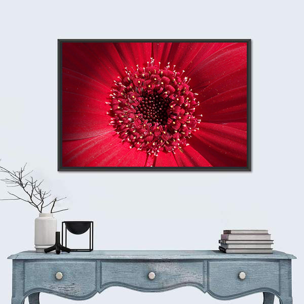 Red Gerbera Daisy Center Canvas Wall Art