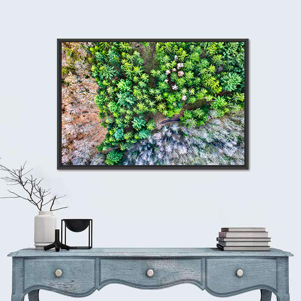 Aerial View Of Trees In The Vosges Mountains In Alsace France Canvas Wall Art