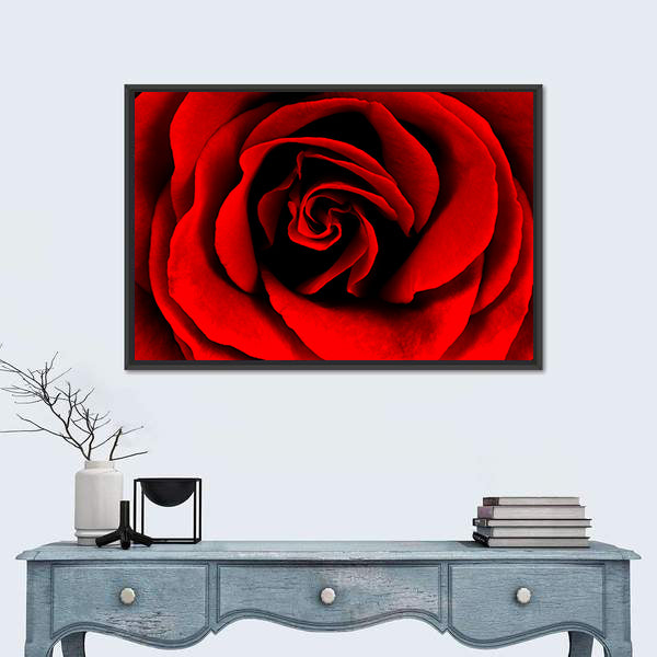 Closeup Of A Red Rose Canvas Wall Art