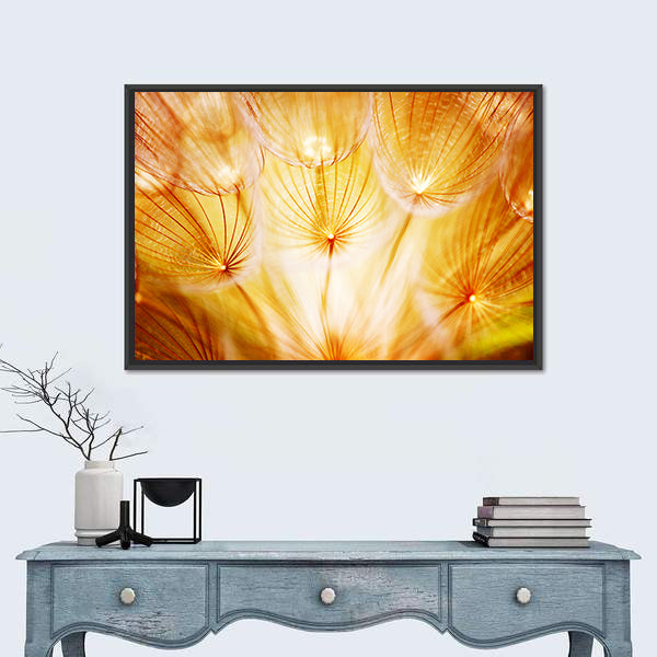 Soft Dandelion Flower Canvas Wall Art