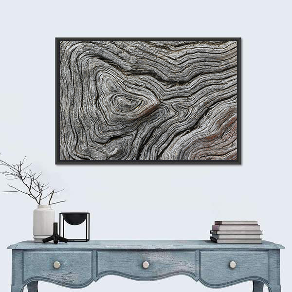 Weathered Wood Grain Macro Canvas Wall Art