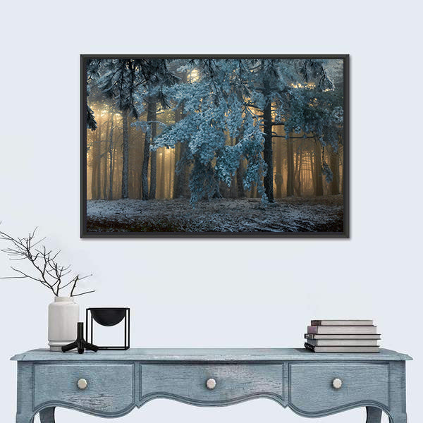 Fog In The forest In Uludag Turkey Canvas Wall Art