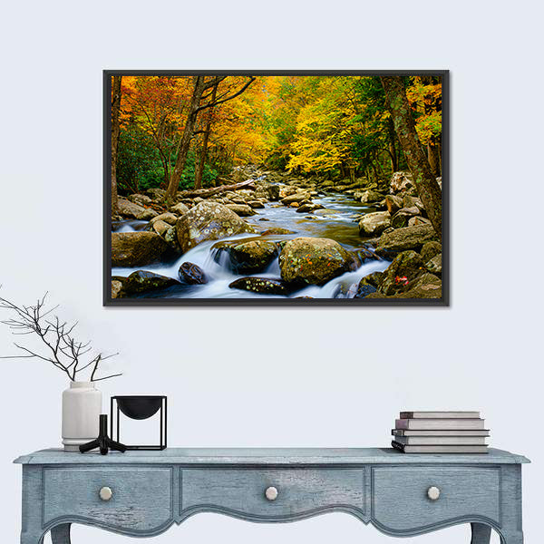 Rushing Stream in Great Smokey Mountains Canvas Wall Art