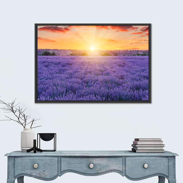 Lavender Fields At Sunset Canvas Wall Art