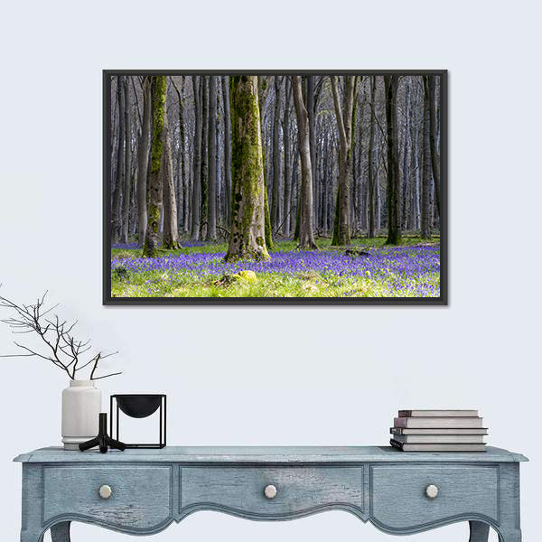 Springtime Bluebell Wood in England Canvas Wall Art