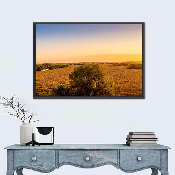 Sunset Over Golden Field with Curved Tracks Canvas Wall Art