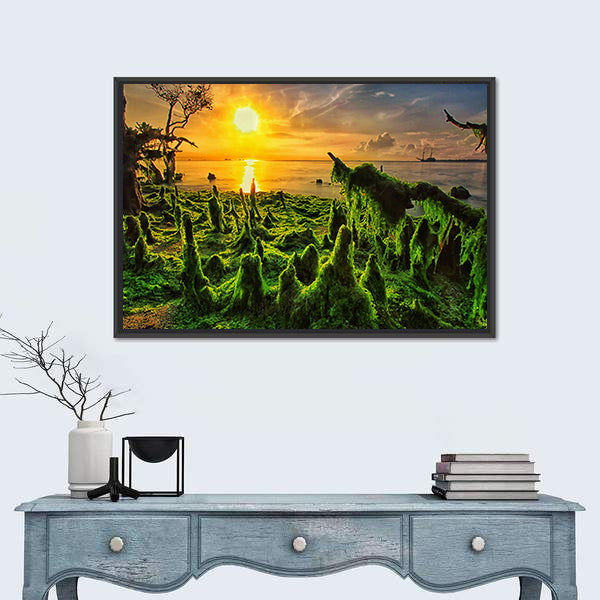 Moss-covered Mangrove Roots at Sunset Canvas Wall Art