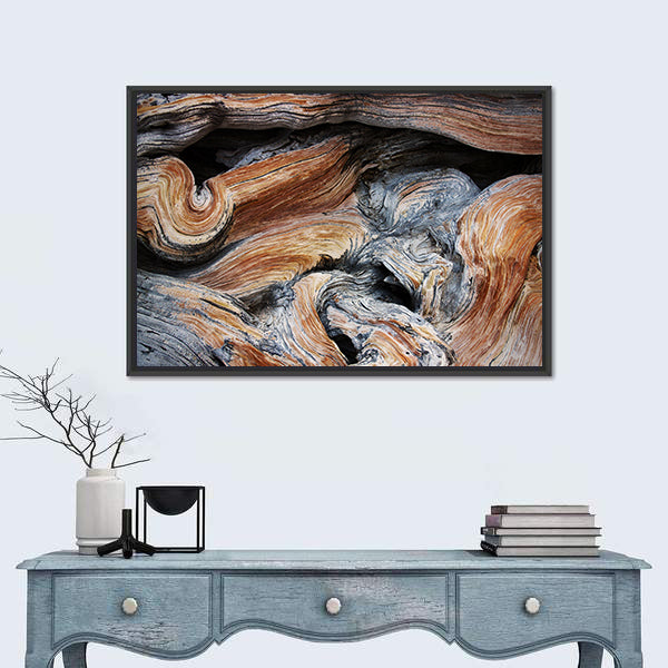 Old Juniper Wood Texture Canvas Wall Art