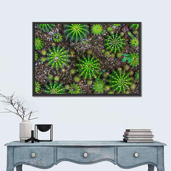 Cactus Plants Close-up Canvas Wall Art