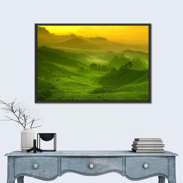 Tea Plantation In Cameron Highland At Sunrise Canvas Wall Art
