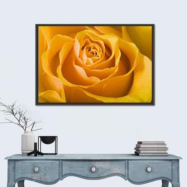 Close Up Of Rose Canvas Wall Art