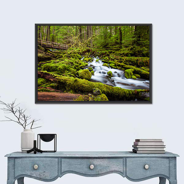 Sol Duc Falls Trail In Olympic National Park Canvas Wall Art