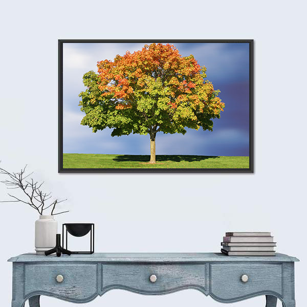 Maple Tree In Autumn Canvas Wall Art
