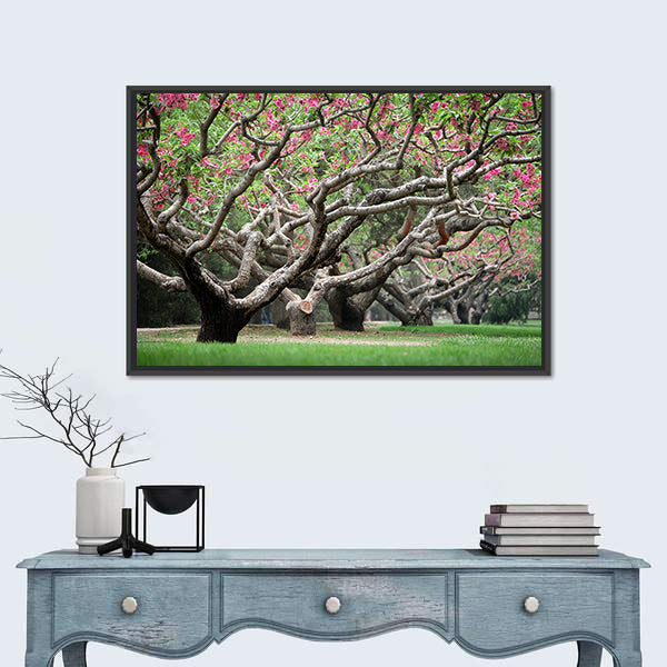 Peach Trees With Blooming Pink Flowers Canvas Wall Art