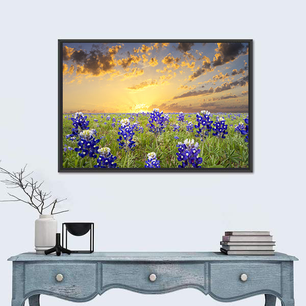 Bluebonnets In The Texas Hill County Canvas Wall Art