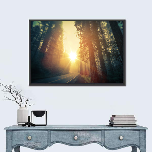 Foggy Redwood Forest Road Canvas Wall Art
