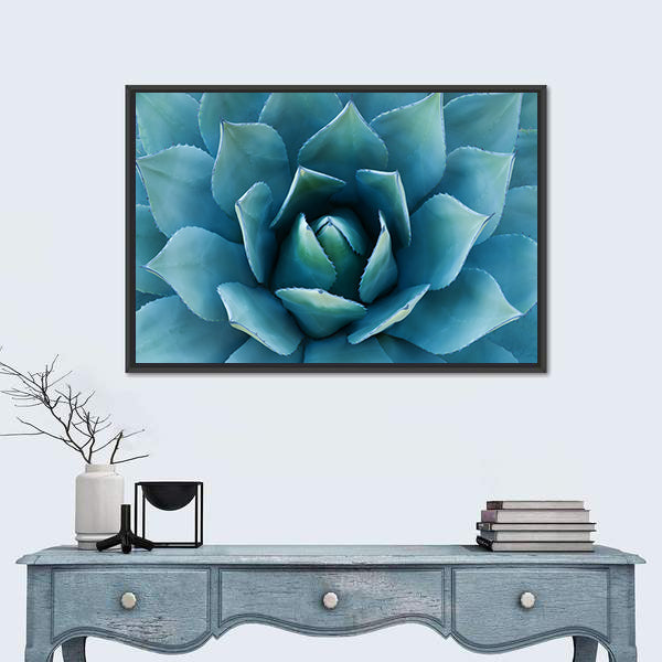 Closeup Of An Agave Plant Canvas Wall Art