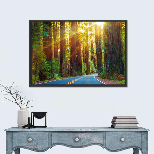 Redwood Highway In Northern California Canvas Wall Art