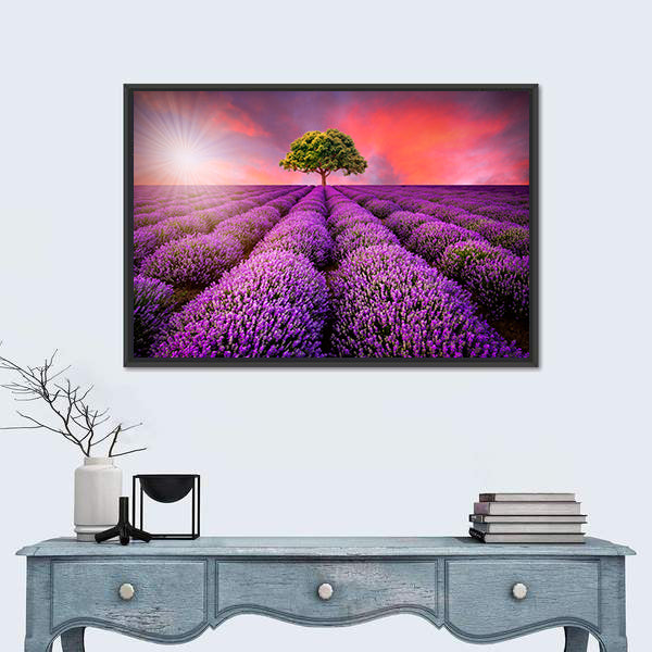 Lavender Field At Sunset Canvas Wall Art