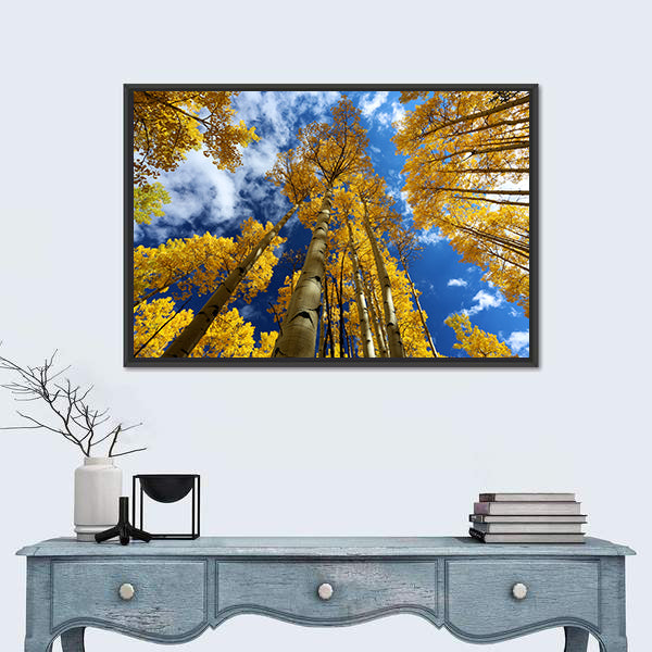 Golden Autumn Aspen Canopy Canvas Wall Art