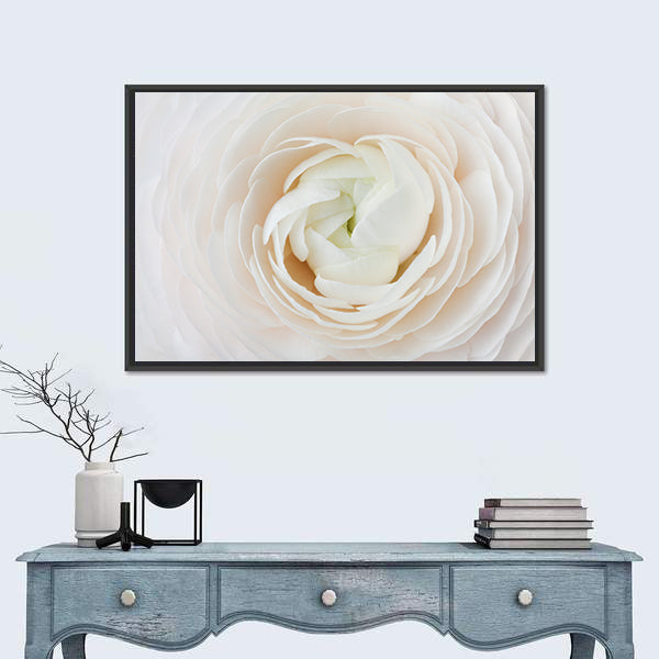 Closeup of Ranunculus Flower Canvas Wall Art