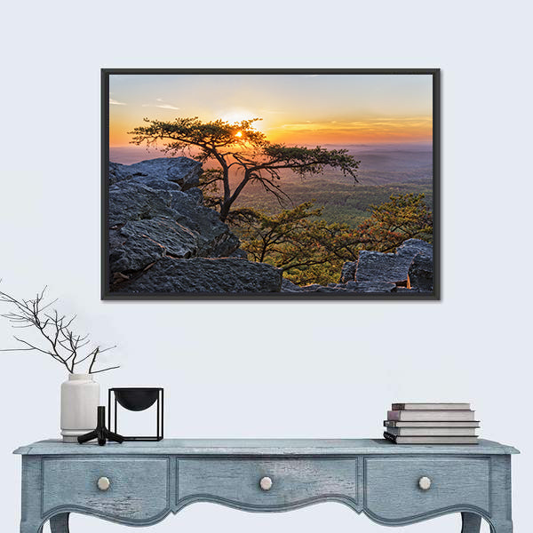 Gnarled Tree at Sunset Overlook Canvas Wall Art