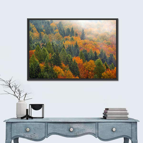 Foggy Autumn Forest In Romania Canvas Wall Art