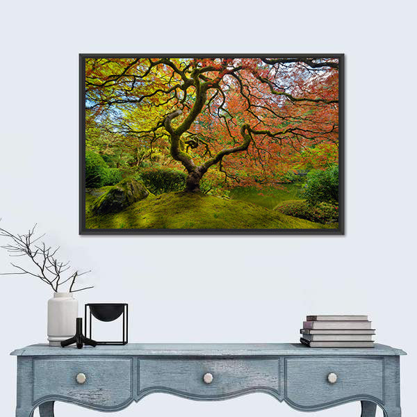 Gnarled Japanese Maple Tree in Portland Canvas Wall Art