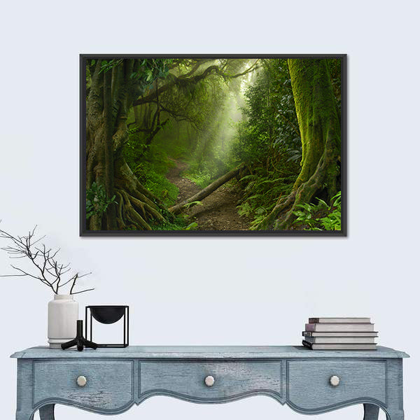 Asian Rain Forest With Sun Rays Canvas Wall Art