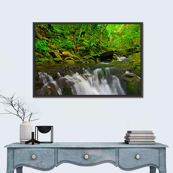 Stream Flowing Through Lush Jungle In Maui Hawaii Canvas Wall Art