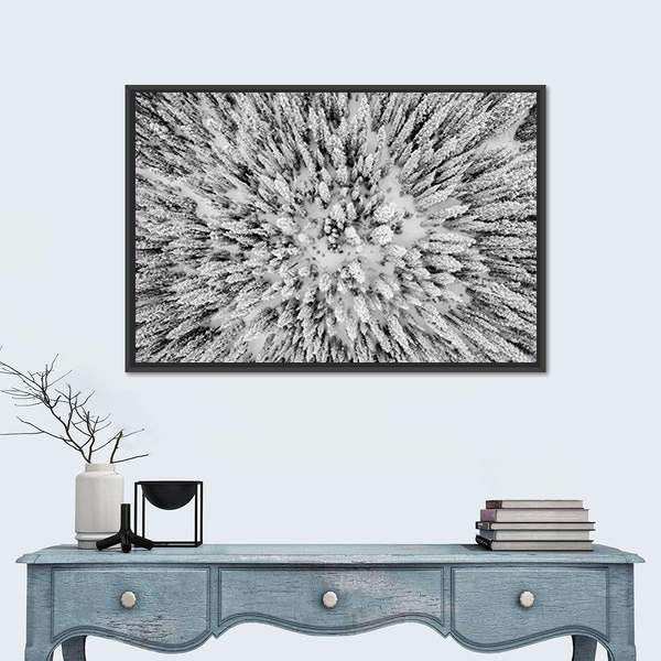 Snow Covered Evergreen Forests In The Colorado Rocky Mountains Canvas Wall Art