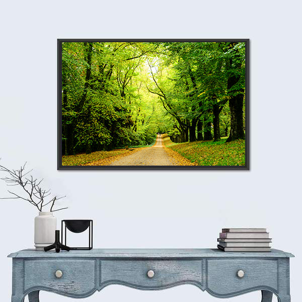 Path In The Forest Woods Canvas Wall Art