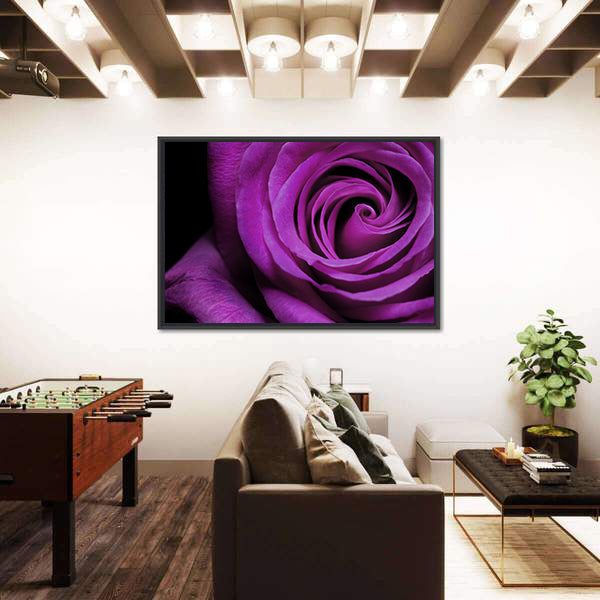 Purple Rose Close-Up Canvas Wall Art