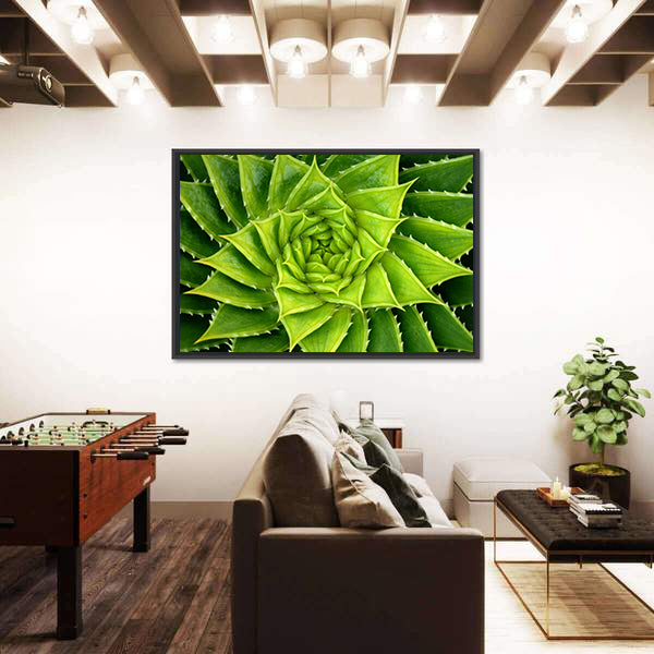 Vivid Green Spiral Aloe Plant Canvas Wall Art