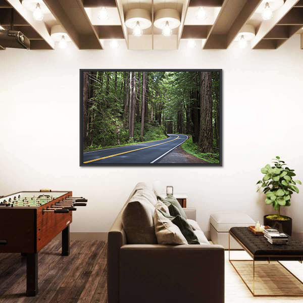 Redwoods Forest In California Canvas Wall Art