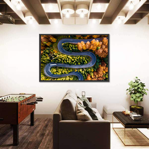Winding Forest Road From Top Canvas Wall Art