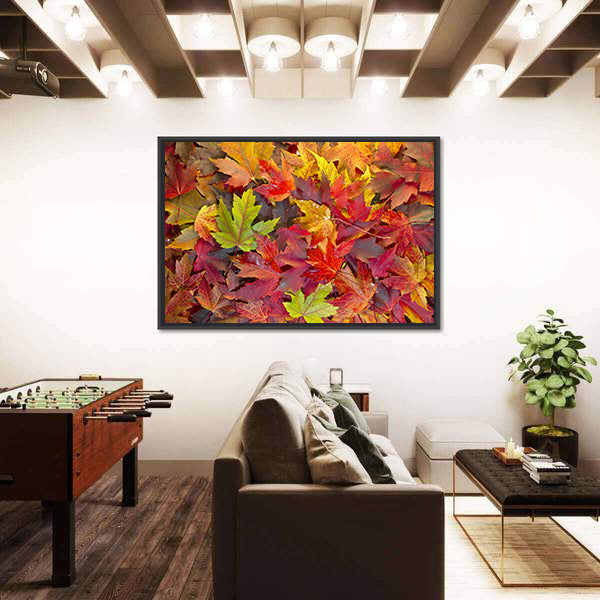 Colorful Maple Leaves Canvas Wall Art