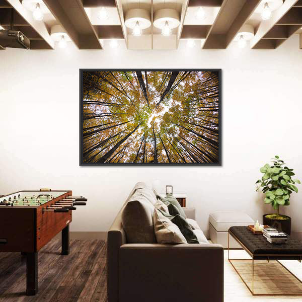 Autumn Forest Treetops Canvas Wall Art